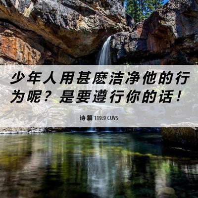 Picture 06 - 诗 篇 119:9 CUVS - 少 年 人 用 甚 麽 洁 净 他 的 行 为 - Bible Verse Picture