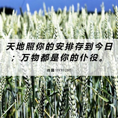 Picture 06 - 诗 篇 119:91 CUVS - 天 地 照 你 的 安 排 存 到 今 日 ； - Bible Verse Picture