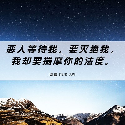 Picture 06 - 诗 篇 119:95 CUVS - 恶 人 等 待 我 ， 要 灭 绝 我 ， 我 - Bible Verse Picture