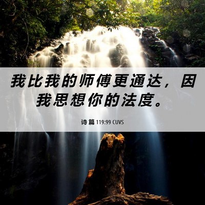 Picture 06 - 诗 篇 119:99 CUVS - 我 比 我 的 师 傅 更 通 达 ， 因 我 - Bible Verse Picture