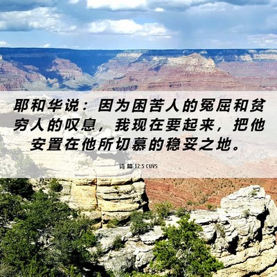 Picture 06 - 诗 篇 12:5 CUVS - 耶 和 华 说 ： 因 为 困 苦 人 的 冤 - Bible Verse Picture
