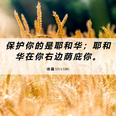 Picture 06 - 诗 篇 121:5 CUVS - 保 护 你 的 是 耶 和 华 ； 耶 和 华 - Bible Verse Picture