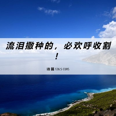 Picture 06 - 诗 篇 126:5 CUVS - 流 泪 撒 种 的 ， 必 欢 呼 收 割 - Bible Verse Picture