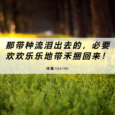 Picture 06 - 诗 篇 126:6 CUVS - 那 带 种 流 泪 出 去 的 ， 必 要 欢 - Bible Verse Picture