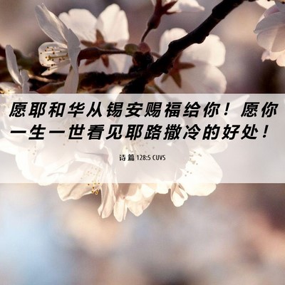 Picture 06 - 诗 篇 128:5 CUVS - 愿 耶 和 华 从 锡 安 赐 福 给 你 ！ - Bible Verse Picture