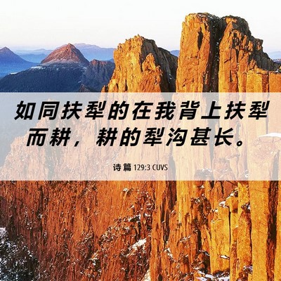Picture 06 - 诗 篇 129:3 CUVS - 如 同 扶 犁 的 在 我 背 上 扶 犁 而 - Bible Verse Picture