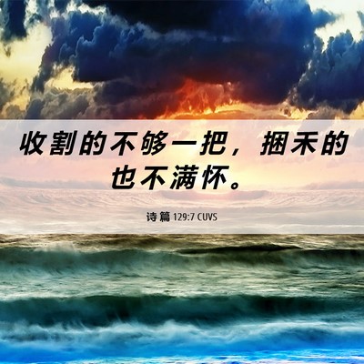 Picture 06 - 诗 篇 129:7 CUVS - 收 割 的 不 够 一 把 ， 捆 禾 的 也 - Bible Verse Picture