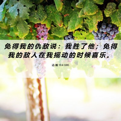 Picture 06 - 诗 篇 13:4 CUVS - 免 得 我 的 仇 敌 说 ： 我 胜 了 他 - Bible Verse Picture