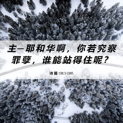Picture 06 - 诗 篇 130:3 CUVS - 主 ─ 耶 和 华 啊 ， 你 若 究 察 罪 - Bible Verse Picture