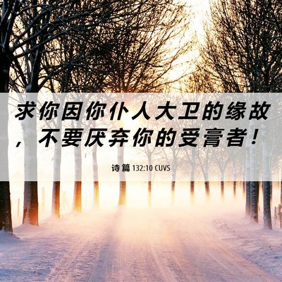 Picture 06 - 诗 篇 132:10 CUVS - 求 你 因 你 仆 人 大 卫 的 缘 故 ， - Bible Verse Picture