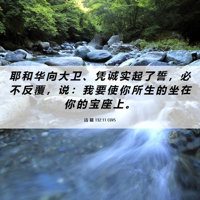Picture 06 - 诗 篇 132:11 CUVS - 耶 和 华 向 大 卫 、 凭 诚 实 起 了 - Bible Verse Picture
