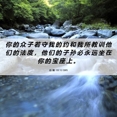 Picture 06 - 诗 篇 132:12 CUVS - 你 的 众 子 若 守 我 的 约 和 我 所 - Bible Verse Picture