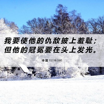 Picture 06 - 诗 篇 132:18 CUVS - 我 要 使 他 的 仇 敌 披 上 羞 耻 ； - Bible Verse Picture