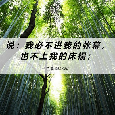 Picture 06 - 诗 篇 132:3 CUVS - 说 ： 我 必 不 进 我 的 帐 幕 ， 也 - Bible Verse Picture