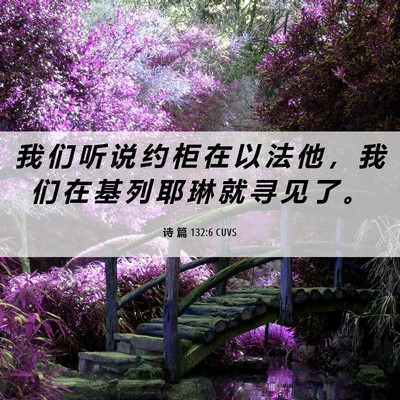 Picture 06 - 诗 篇 132:6 CUVS - 我 们 听 说 约 柜 在 以 法 他 ， 我 - Bible Verse Picture