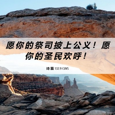 Picture 06 - 诗 篇 132:9 CUVS - 愿 你 的 祭 司 披 上 公 义 ！ 愿 你 - Bible Verse Picture