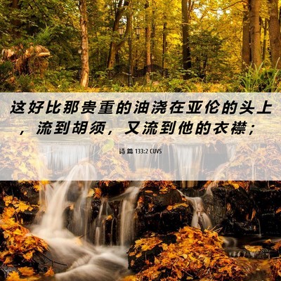 Picture 06 - 诗 篇 133:2 CUVS - 这 好 比 那 贵 重 的 油 浇 在 亚 伦 - Bible Verse Picture