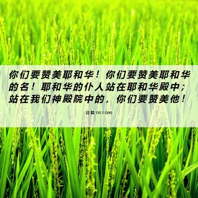 Picture 06 - 诗 篇 135:1 CUVS - 你 们 要 赞 美 耶 和 华 ！ 你 们 要 - Bible Verse Picture