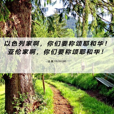 Picture 06 - 诗 篇 135:19 CUVS - 以 色 列 家 啊 ， 你 们 要 称 颂 耶 - Bible Verse Picture