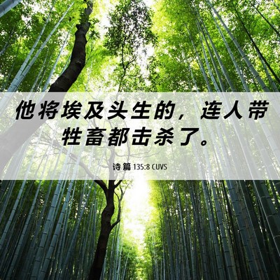 Picture 06 - 诗 篇 135:8 CUVS - 他 将 埃 及 头 生 的 ， 连 人 带 牲 - Bible Verse Picture