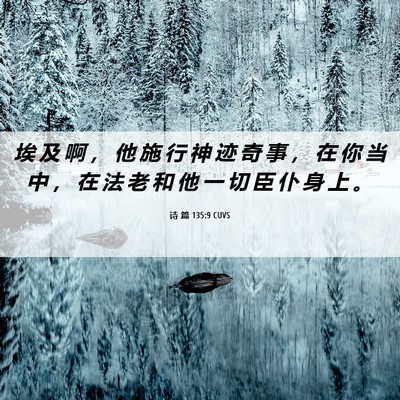 Picture 06 - 诗 篇 135:9 CUVS - 埃 及 啊 ， 他 施 行 神 迹 奇 事 ， - Bible Verse Picture