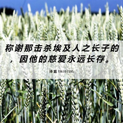 Picture 06 - 诗 篇 136:10 CUVS - 称 谢 那 击 杀 埃 及 人 之 长 子 的 - Bible Verse Picture
