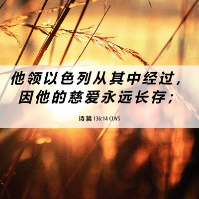 Picture 06 - 诗 篇 136:14 CUVS - 他 领 以 色 列 从 其 中 经 过 ， 因 - Bible Verse Picture