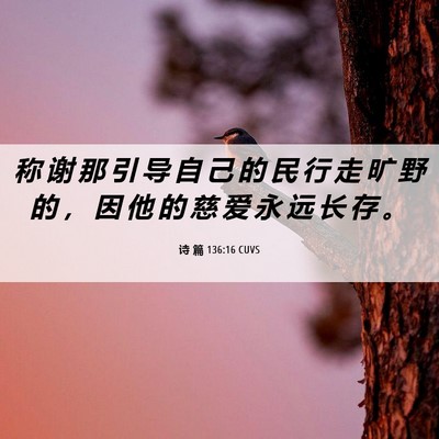 Picture 06 - 诗 篇 136:16 CUVS - 称 谢 那 引 导 自 己 的 民 行 走 旷 - Bible Verse Picture