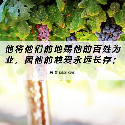 Picture 06 - 诗 篇 136:21 CUVS - 他 将 他 们 的 地 赐 他 的 百 姓 为 - Bible Verse Picture
