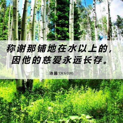 Picture 06 - 诗 篇 136:6 CUVS - 称 谢 那 铺 地 在 水 以 上 的 ， 因 - Bible Verse Picture