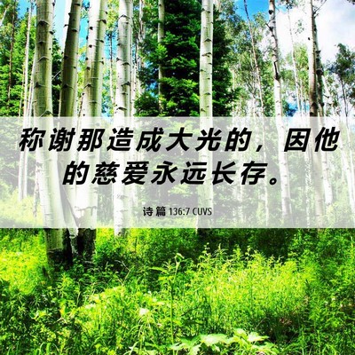 Picture 06 - 诗 篇 136:7 CUVS - 称 谢 那 造 成 大 光 的 ， 因 他 的 - Bible Verse Picture