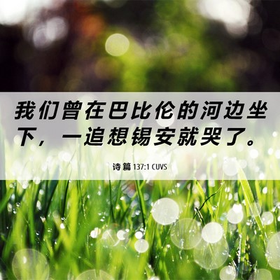 Picture 06 - 诗 篇 137:1 CUVS - 我 们 曾 在 巴 比 伦 的 河 边 坐 下 - Bible Verse Picture