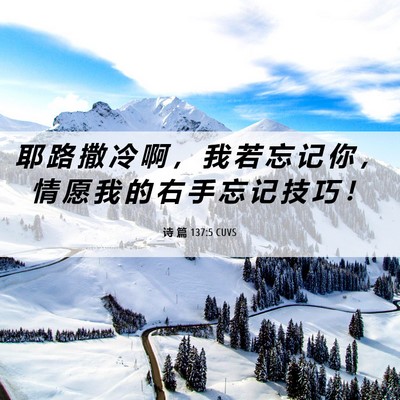 Picture 06 - 诗 篇 137:5 CUVS - 耶 路 撒 冷 啊 ， 我 若 忘 记 你 ， - Bible Verse Picture