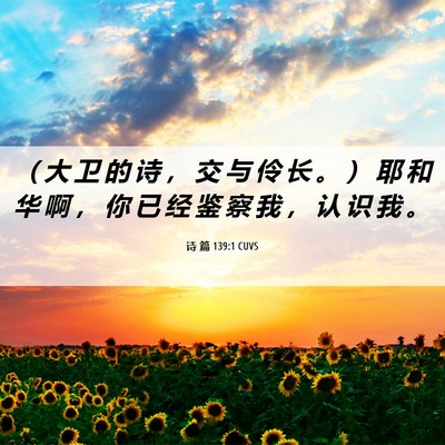 Picture 06 - 诗 篇 139:1 CUVS - （ 大 卫 的 诗 ， 交 与 伶 长 。 ） - Bible Verse Picture