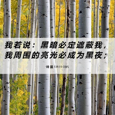 Picture 06 - 诗 篇 139:11 CUVS - 我 若 说 ： 黑 暗 必 定 遮 蔽 我 ， - Bible Verse Picture