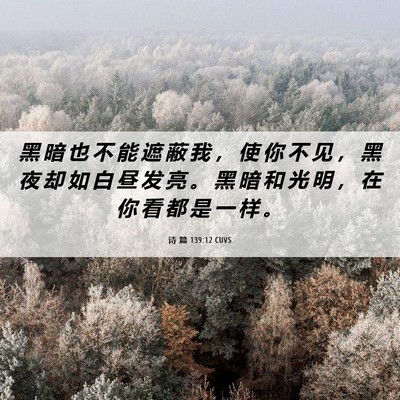 Picture 06 - 诗 篇 139:12 CUVS - 黑 暗 也 不 能 遮 蔽 我 ， 使 你 不 - Bible Verse Picture