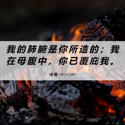 Picture 06 - 诗 篇 139:13 CUVS - 我 的 肺 腑 是 你 所 造 的 ； 我 在 - Bible Verse Picture