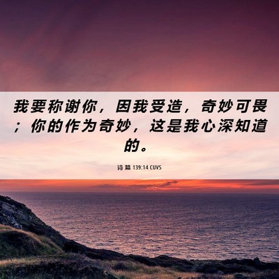 Picture 06 - 诗 篇 139:14 CUVS - 我 要 称 谢 你 ， 因 我 受 造 ， 奇 - Bible Verse Picture