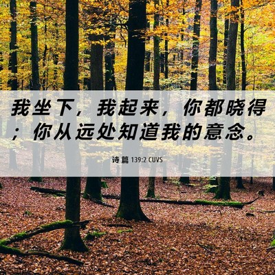 Picture 06 - 诗 篇 139:2 CUVS - 我 坐 下 ， 我 起 来 ， 你 都 晓 得 - Bible Verse Picture