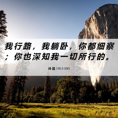 Picture 06 - 诗 篇 139:3 CUVS - 我 行 路 ， 我 躺 卧 ， 你 都 细 察 - Bible Verse Picture