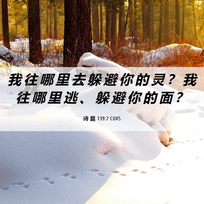 Picture 06 - 诗 篇 139:7 CUVS - 我 往 哪 里 去 躲 避 你 的 灵 ？ 我 - Bible Verse Picture