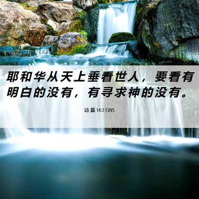 Picture 06 - 诗 篇 14:2 CUVS - 耶 和 华 从 天 上 垂 看 世 人 ， 要 - Bible Verse Picture