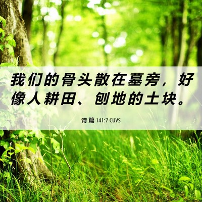 Picture 06 - 诗 篇 141:7 CUVS - 我 们 的 骨 头 散 在 墓 旁 ， 好 像 - Bible Verse Picture
