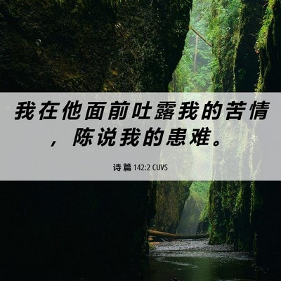 Picture 06 - 诗 篇 142:2 CUVS - 我 在 他 面 前 吐 露 我 的 苦 情 ， - Bible Verse Picture