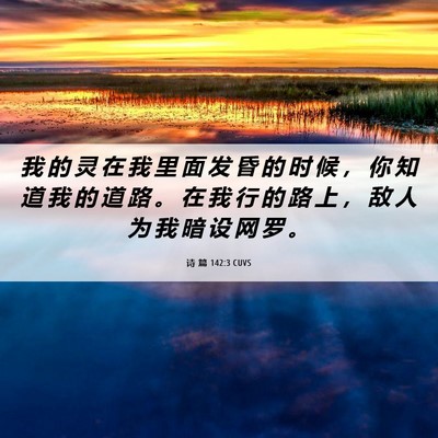Picture 06 - 诗 篇 142:3 CUVS - 我 的 灵 在 我 里 面 发 昏 的 时 候 - Bible Verse Picture