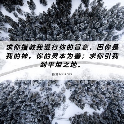 Picture 06 - 诗 篇 143:10 CUVS - 求 你 指 教 我 遵 行 你 的 旨 意 ， - Bible Verse Picture