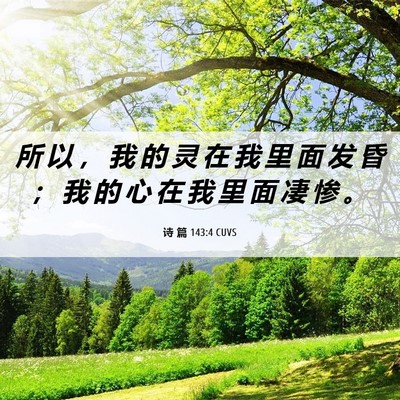 Picture 06 - 诗 篇 143:4 CUVS - 所 以 ， 我 的 灵 在 我 里 面 发 昏 - Bible Verse Picture