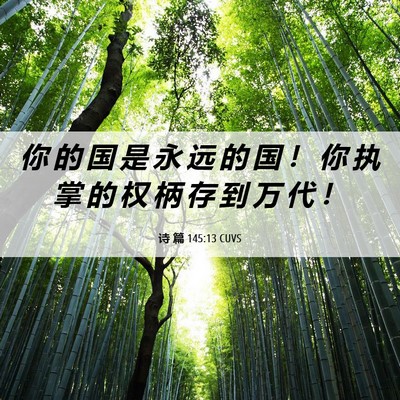 Picture 06 - 诗 篇 145:13 CUVS - 你 的 国 是 永 远 的 国 ！ 你 执 掌 - Bible Verse Picture