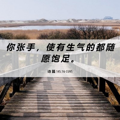 Picture 06 - 诗 篇 145:16 CUVS - 你 张 手 ， 使 有 生 气 的 都 随 愿 - Bible Verse Picture