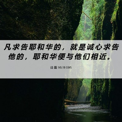 Picture 06 - 诗 篇 145:18 CUVS - 凡 求 告 耶 和 华 的 ， 就 是 诚 心 - Bible Verse Picture